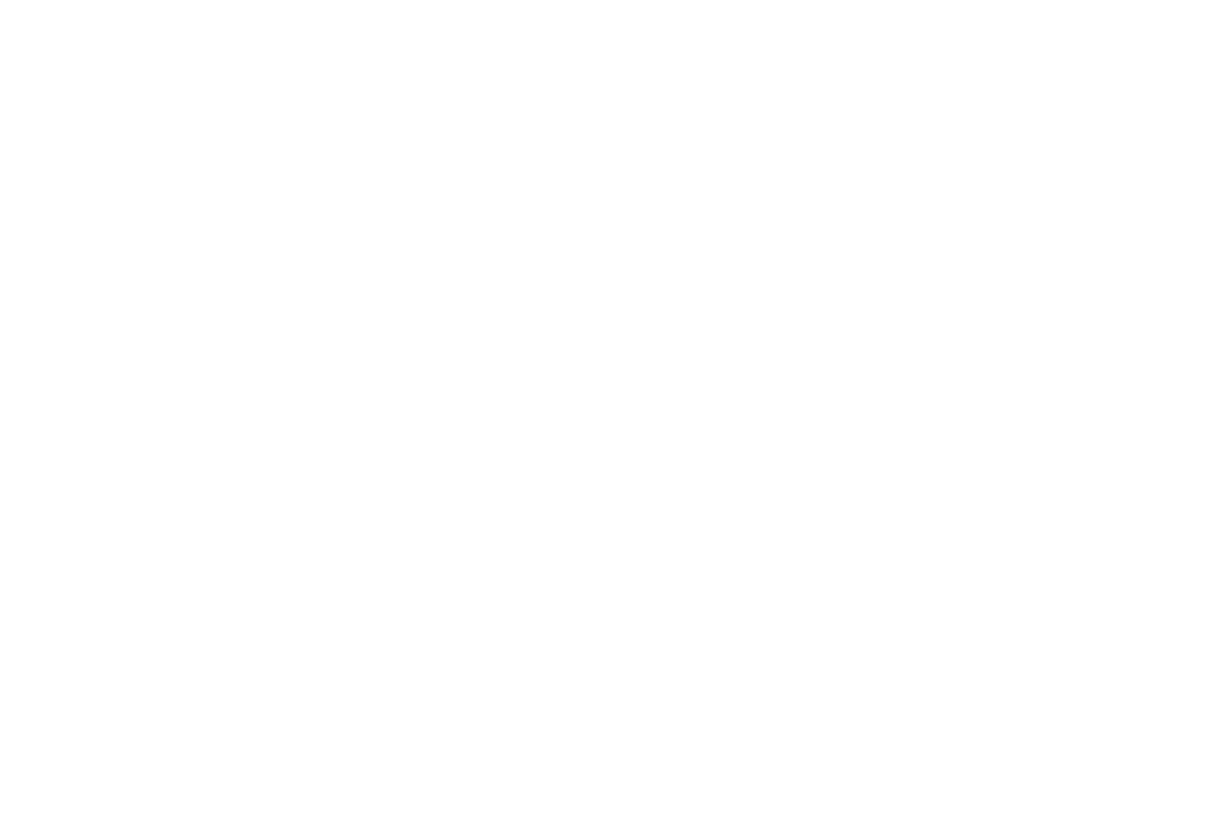 Porta Via Logo
